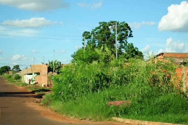 Plano para atendimento a v&iacute;timas de dengue inclui hospital de campanha