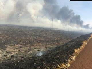 Área destruída pelo fogo nesta sexta-feira na margem da BR-463, em Dourados (Foto: Marciel Arruda/RIT TV)