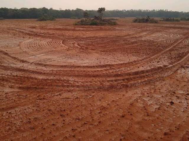 PMA descobre 50 hectares de &aacute;rea desmatada e multa em R$ 283 mil