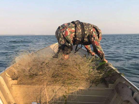 PMA resgata peixes presos em dois mil metros de rede de pesca