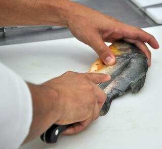  Sashimi fez da piranha um peixe valorizado na pescaria do Pantanal