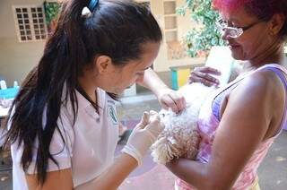 Somente no último sábado (14), foram só no sábado foram vacinados 2.370 cães e 335 gatos. (Foto: Divulgação)