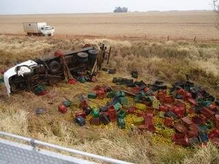 Caminhão capotou e carga ficou esparramada às margens da rodovia. (Foto: Dourados Agora)
