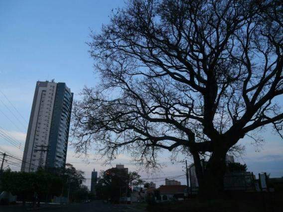 Domingo ter&aacute; m&aacute;xima de 24&ordm;C e previs&atilde;o de chuva na Capital