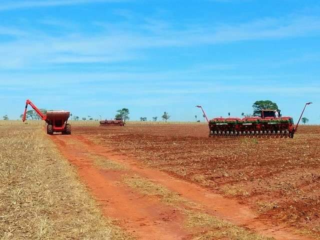 &Aacute;rea semeada de soja em MS ultrapassa 814 mil hectares