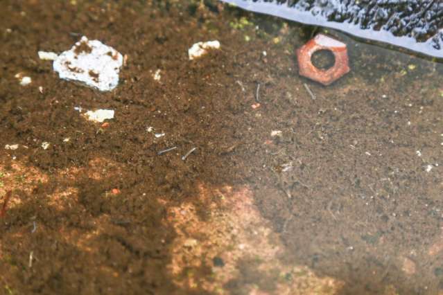 Adolescente que cumpre medida na Unei &eacute; diagnosticada com zika v&iacute;rus