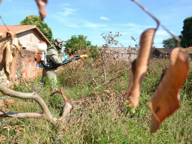  Vizinhos que ningu&eacute;m quer ter: casas e terrenos no Cai&ccedil;ara s&atilde;o problema