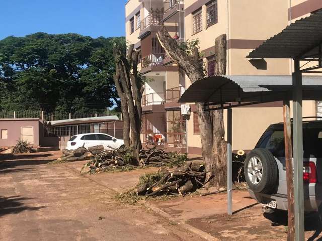 Corte de 57 &aacute;rvores coloca moradores contra s&iacute;ndico em residencial