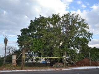 Terreno onde árvore está plantada foi interditado. (Foto: Simão Nogueira)