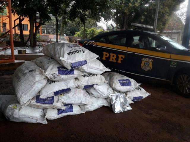 Pol&iacute;cia apreende agrot&oacute;xicos contrabandeados avaliados em R$ 1 milh&atilde;o