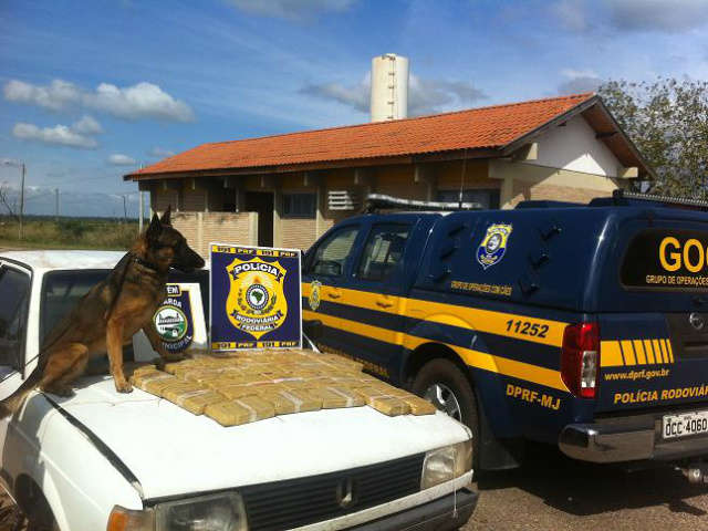  C&atilde;es farejadores da PRF encontram 27 kg de coca&iacute;na em rodovia
