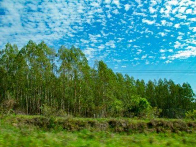 Super&aacute;vit da balan&ccedil;a comercial de MS chega a US$ 2,4 bilh&otilde;es e supera 2017