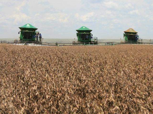 Estado tem 12 cidades em lista dos 100 maiores produtores do agroneg&oacute;cio
