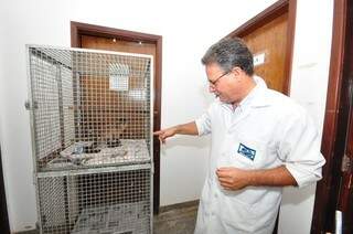 O médico veterinário do Cras, Álvaro Cavalcanti, explica que apesar de o macaco já estar bem, o período de quarentena faz parte do processo pós-cirúrgico e é importante para observar a recuperação do animal