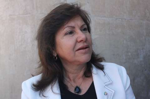 Deputada diz que PSDB deve montar grupo político para lançar Azambuja em 2014