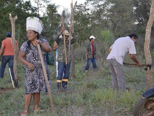 Juiz federal media negocia&ccedil;&atilde;o entre fazendeiros e &iacute;ndios em &aacute;rea ocupada