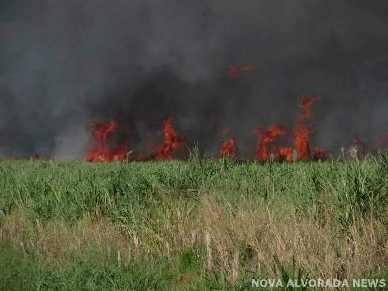 Chamas altas por conta do incêndio. (Foto: Nova Alvorada do News) 