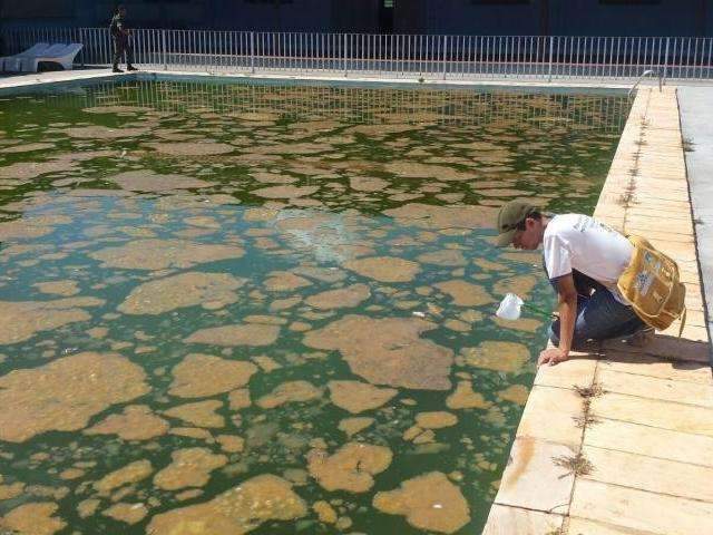 Ap&oacute;s aumentar 80%, dengue recua em janeiro, mas sa&uacute;de mant&eacute;m alerta