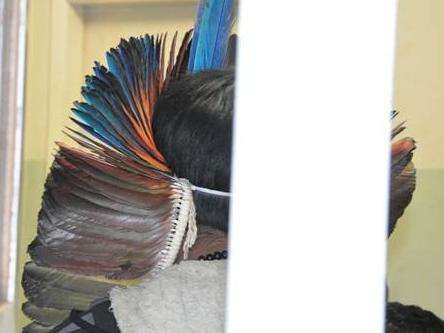 Ap&oacute;s boato de sequestro, &iacute;ndios ocupam e ateiam fogo em fazenda