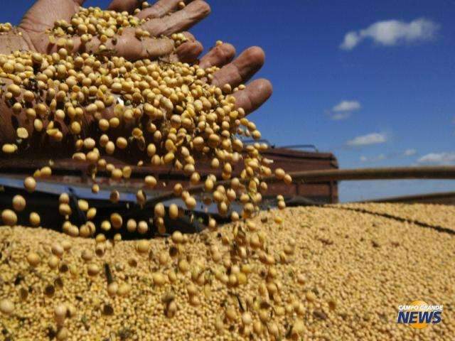 Setor rural foi o que mais recebeu recursos do FCO contratados em MS
