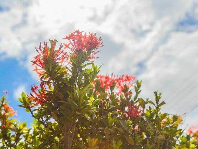 Depois de temporal, Capital deve marcar m&iacute;nima de 12&ordm; C at&eacute; s&aacute;bado