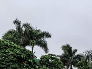 Tempo parcialmente nublado em Campo Grande, nesta sexta-feira (Foto: Marina Pacheco)