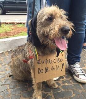 Até cachorrinhos ganharam placa durante ato de apoio. (Foto: Cecília Luchese/Direto das Ruas)