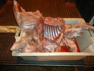 Foram apreendidos 19 quilos de carne de capivara. (Foto: divulgação)