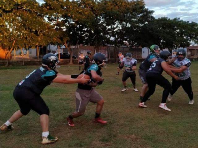 Em busca da 1&ordf; vit&oacute;ria, Predadores faz &uacute;ltimo jogo em casa no Brasileiro