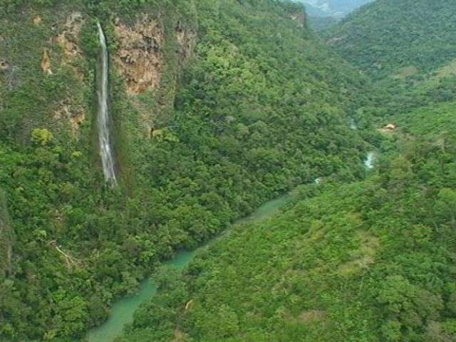 MS &eacute; o 8&ordm; estado com maiores &iacute;ndices de desmatamento da Mata Atl&acirc;ntica