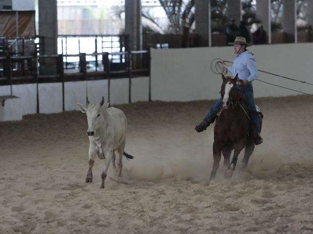 Campo Grande recebe nesta semana Campeonato Nacional de La&ccedil;o Comprido
