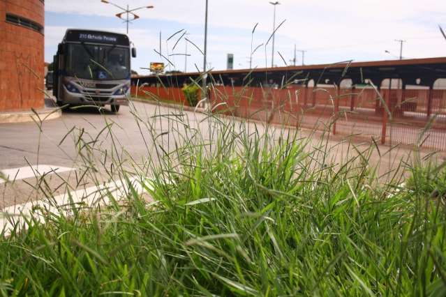 Agetran admite que depreda&ccedil;&atilde;o em terminais exige &quot;plano urgente&quot;