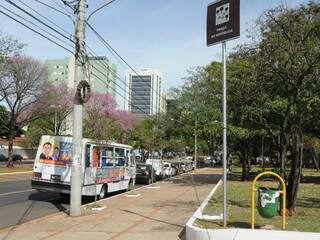 Estacionado em frente à praça do Rádio, ônibus provoca reclamação. (Foto: Rodrigo Pazinato)