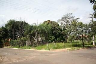 Além do terreno da rua Inácio Gomes, os moradores reclamam de outros terrenos no bairro (Foto: Marcos Ermínio)