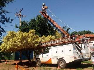 Equipe da Energisa trabalha em local onde árvore encostou na rede elétrica e atrapalhou o fornecimento de luz elétrica. (Foto: Energisa)