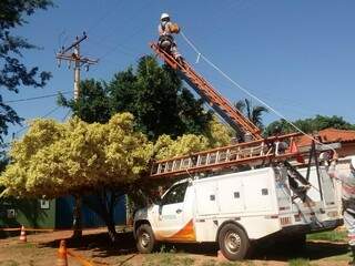 Ventania provocou falta de energia em nove bairros de Campo Grande