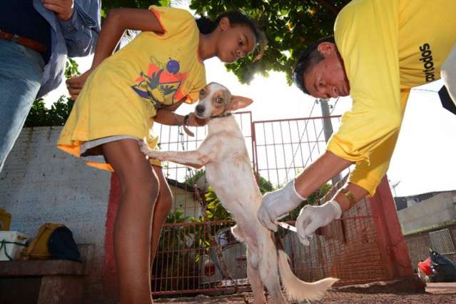 Secretaria de Sa&uacute;de confirma segundo caso de raiva animal 