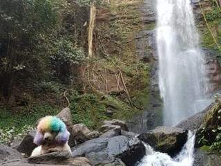 De boa, só aproveitando a natureza na cachoeira do Inferninho, em Campo Grande (Foto: Arquivo pessoal)