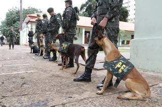 Cinco cães, dois especialistas em explosivos, embarcaram hoje para Mato Grosso (Foto: Marcelo Victor) 