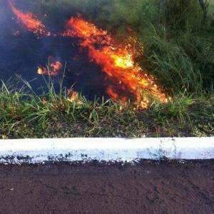 Fuma&ccedil;a dificulta vis&atilde;o na BR-262; PRF orienta motoristas como agir