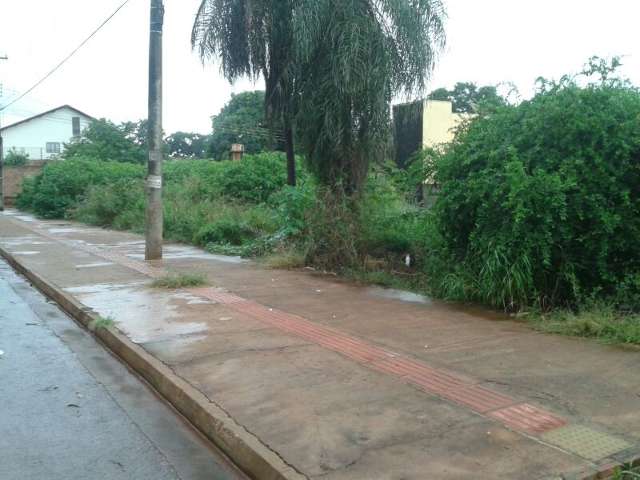 Terreno abandonado est&aacute; lotado de caramujos e vizinhan&ccedil;a pede socorro