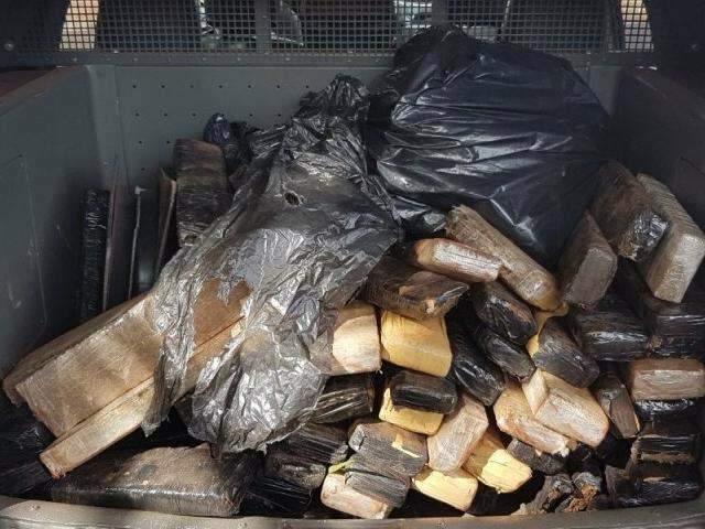 Guarda Municipal apreende 89 kg de maconha abandonados em parque
