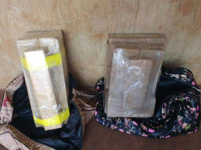 C&atilde;o fareja droga e duas mulheres s&atilde;o presas por tr&aacute;fico em &ocirc;nibus