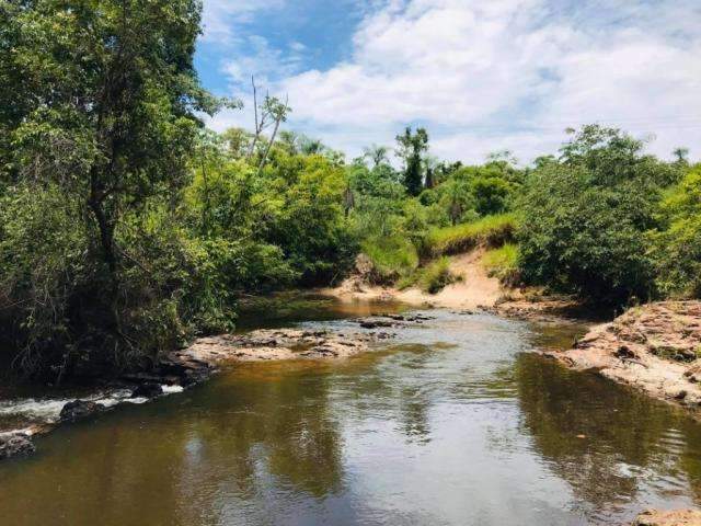 Nove banhistas s&atilde;o socorridos ap&oacute;s ataque de abelhas em Bela Vista