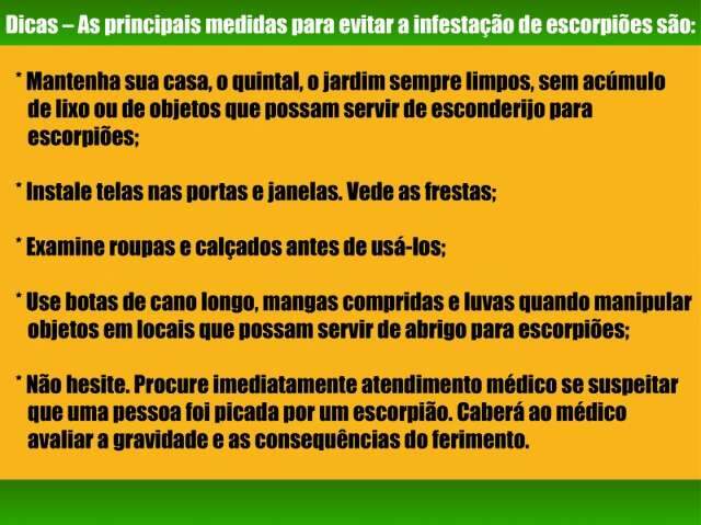 Escorpi&otilde;es atacam no banheiro, resid&ecirc;ncias e at&eacute; hospital na Capital