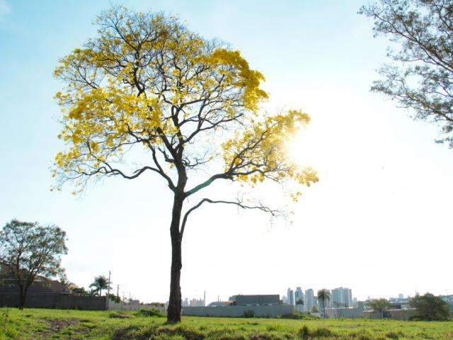 Chegada da primavera traz instabilidade, mas temperaturas ficam acima dos 30&deg;C