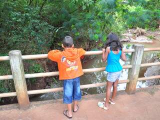 Crianças admiram o córrego Lagoa e procuram por tartarugas.