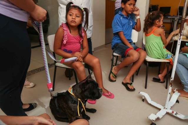 Toda ter&ccedil;a, c&atilde;es transformam a hora da visita de crian&ccedil;as internadas no HU