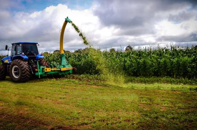 MS &eacute; o 3&deg; do pa&iacute;s na gera&ccedil;&atilde;o de vagas com ajuda da agropecu&aacute;ria em julho