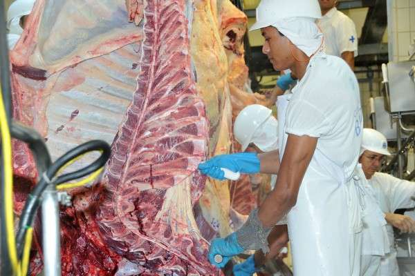Exporta&ccedil;&atilde;o de milho cresce 80%, mas venda de carne cai 40% em MS